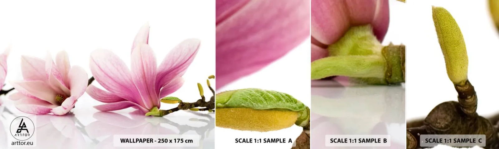 Prøve Fototapet Selvklæbende Deluxe Sticker - Blød som et åndedrag af forår - Blomst, Magnolia, Natur - 100x30 cm