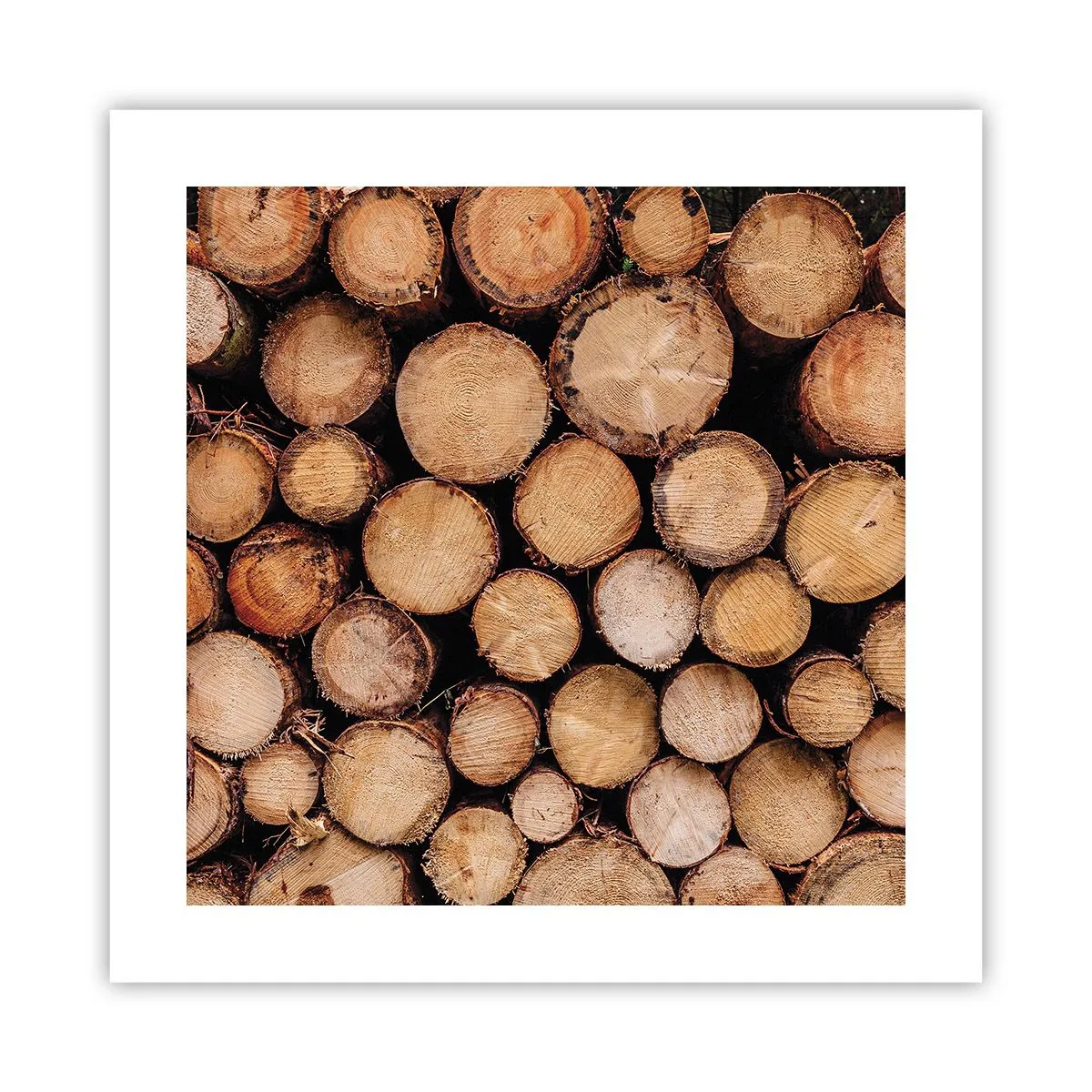 Plakat - En ny begyndelse - 40x40 cm