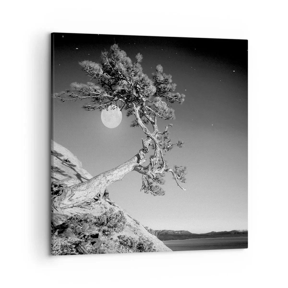 Lærredstryk - Billede på lærred - Den sejrrige kriger - 50x50 cm