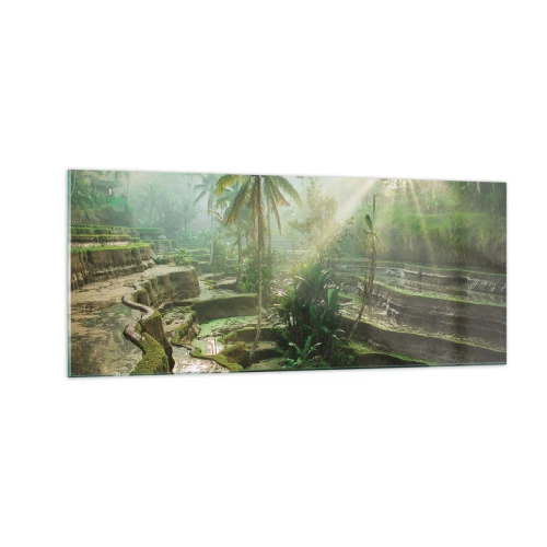 Billede på glas - Voksende op i solen - 100x40 cm