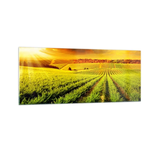 Billede på glas - Under den australske sol - 100x40 cm