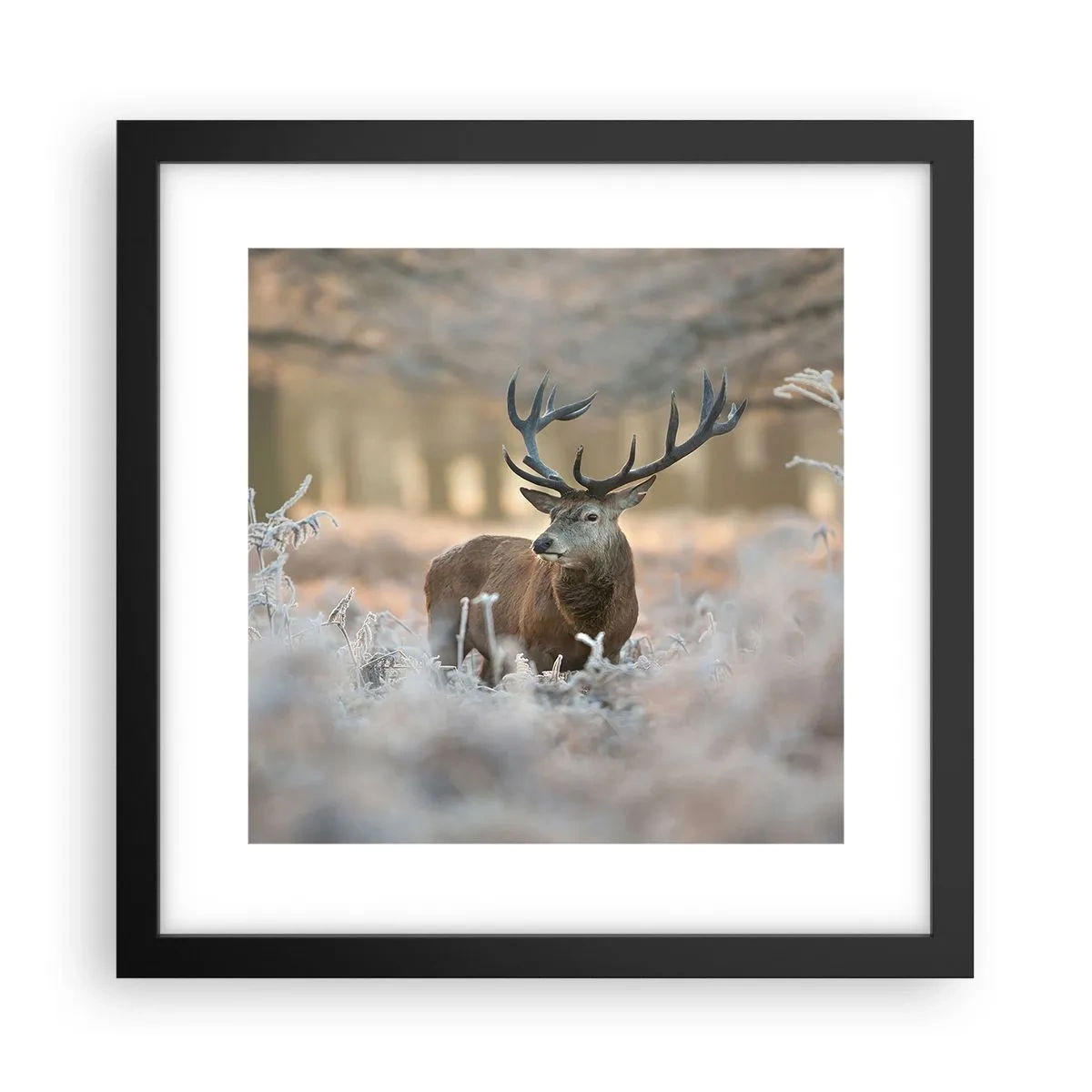 Plakat i sort ramme - En frisk morgen - 30x30 cm