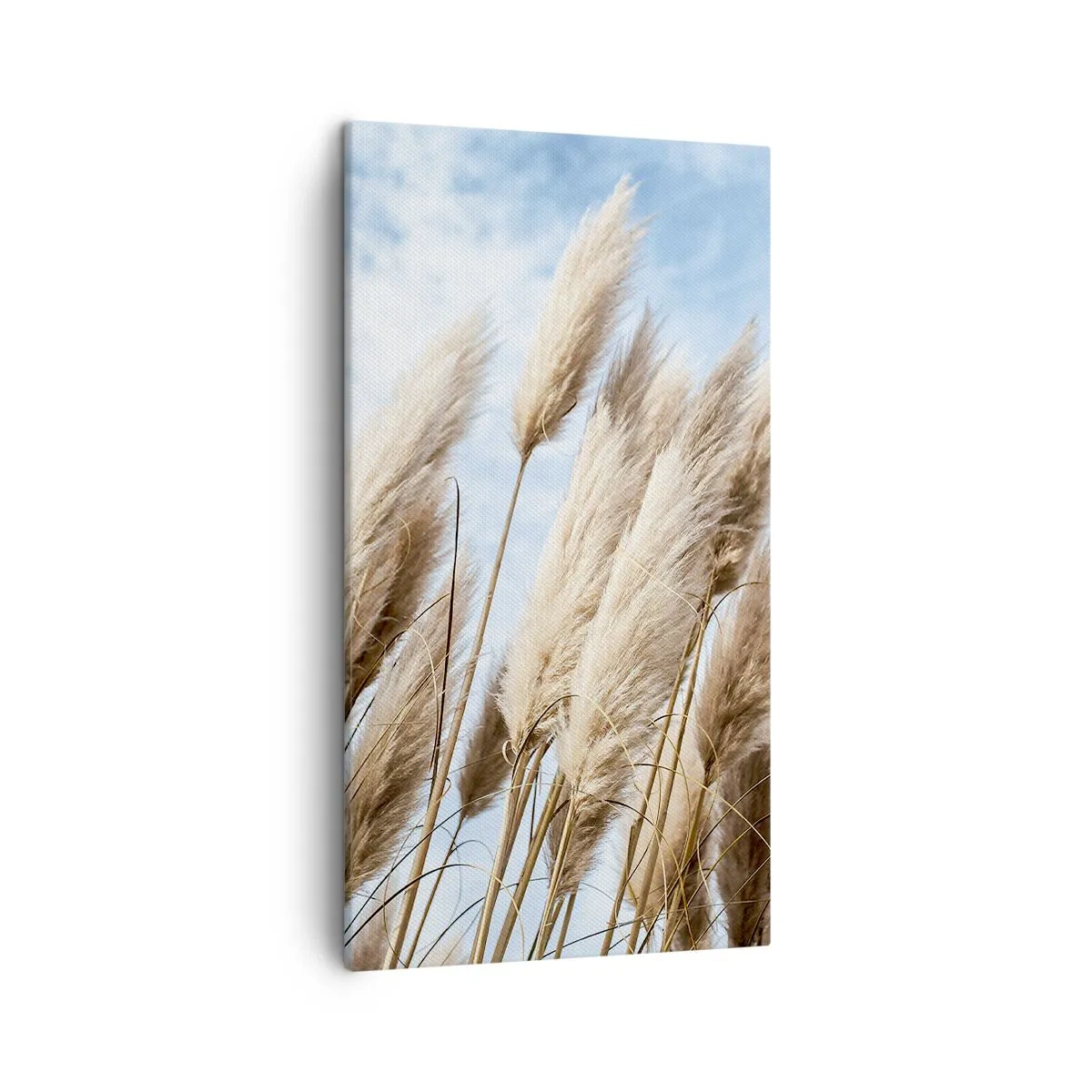 Lærredstryk - Billede på lærred - Solrig og blæsende kærtegn - 45x80 cm