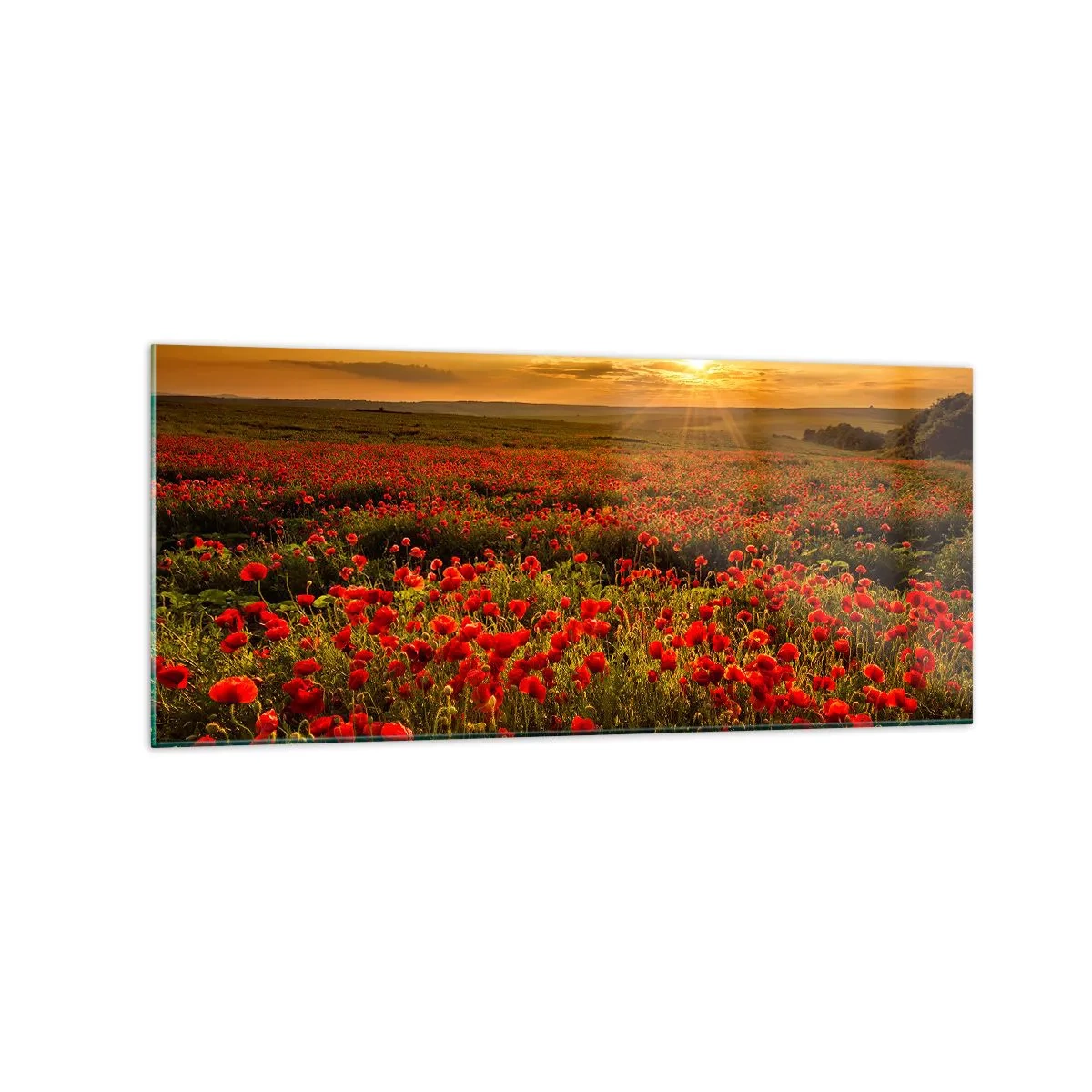 Billede på glas - Blandt bølgerne af raslende enge, blandt flodblomster - 120x50 cm