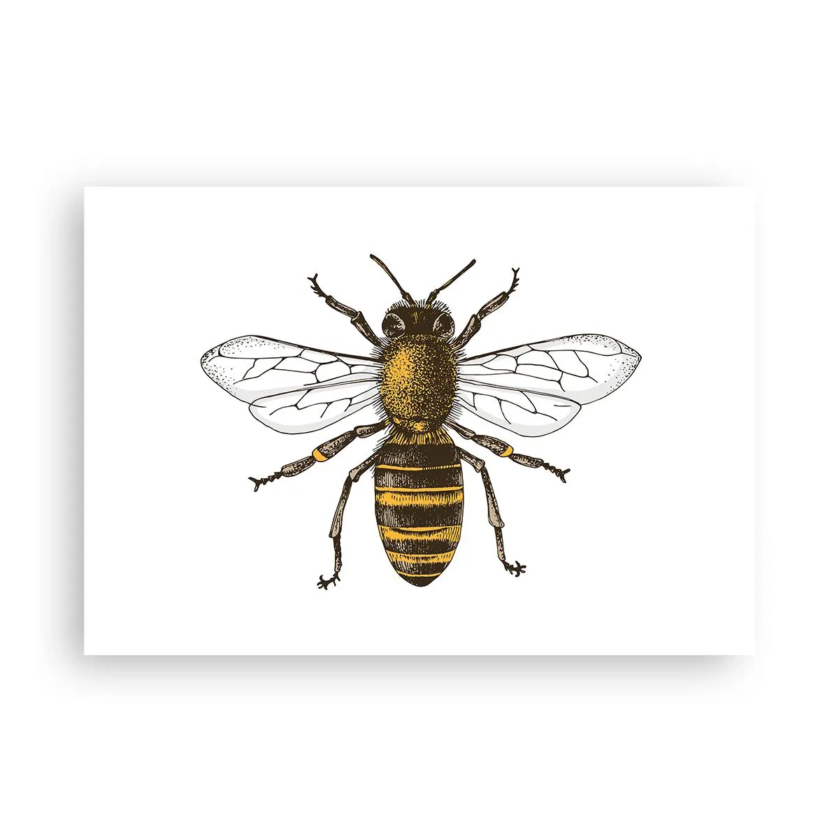 Plakat - Smuk og god - 100x70 cm