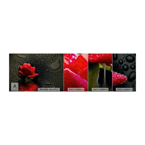 Prøve Fototapet Premium Canvas - Rød og sort - Blomster, Rose, Vand - 100x30 cm