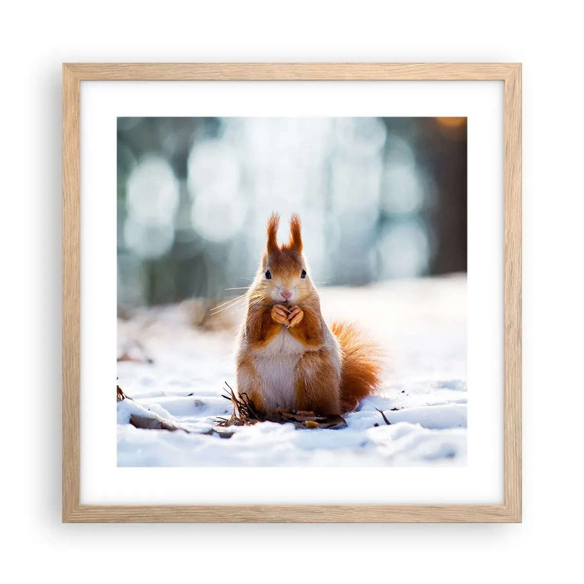 Plakat i ramme af lyst egetræ - Og hvad kigger du på? - 40x40 cm