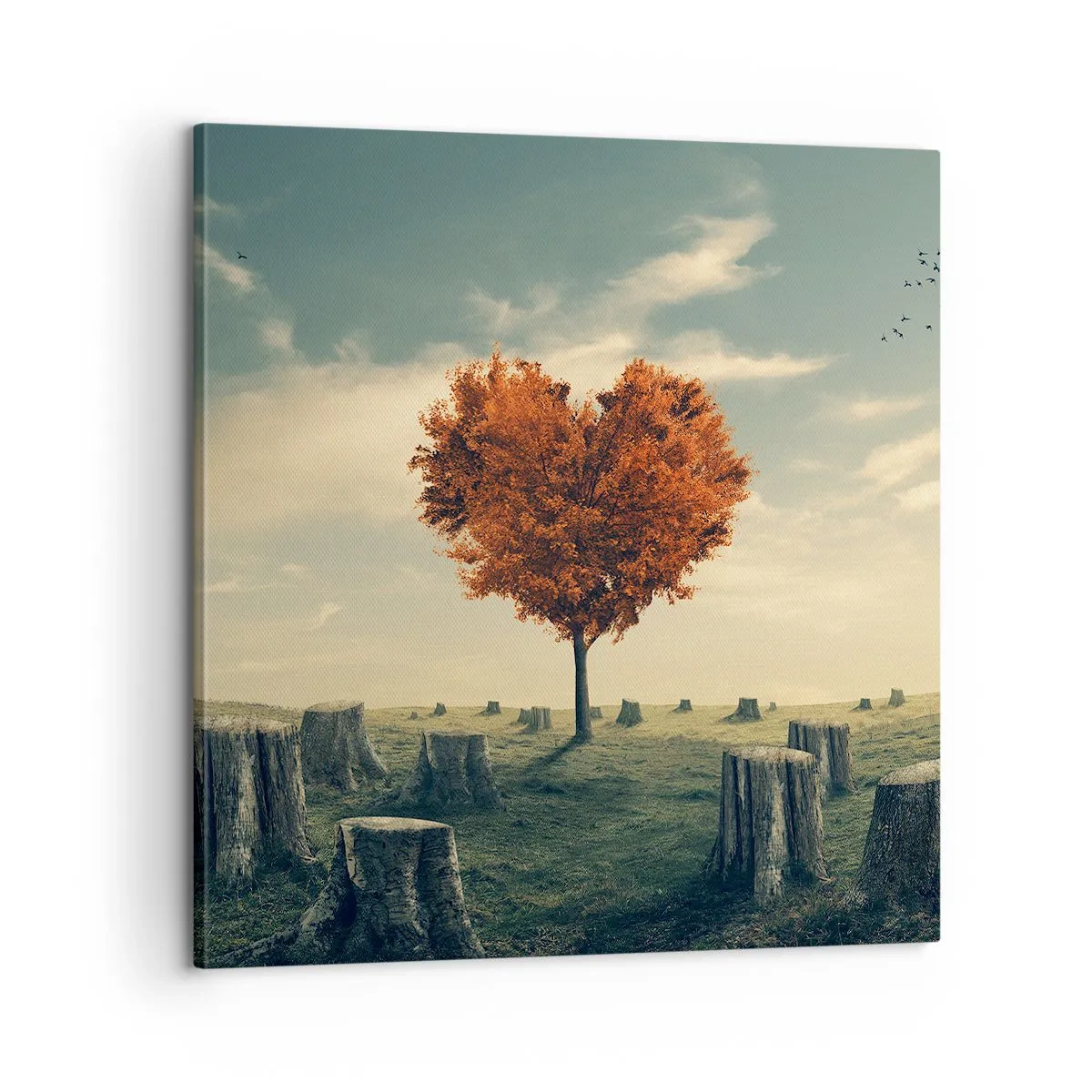 Lærredstryk - Billede på lærred - Der er stadig håb - 60x60 cm