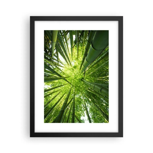 Plakat i sort ramme - I en bambuslund - 30x40 cm