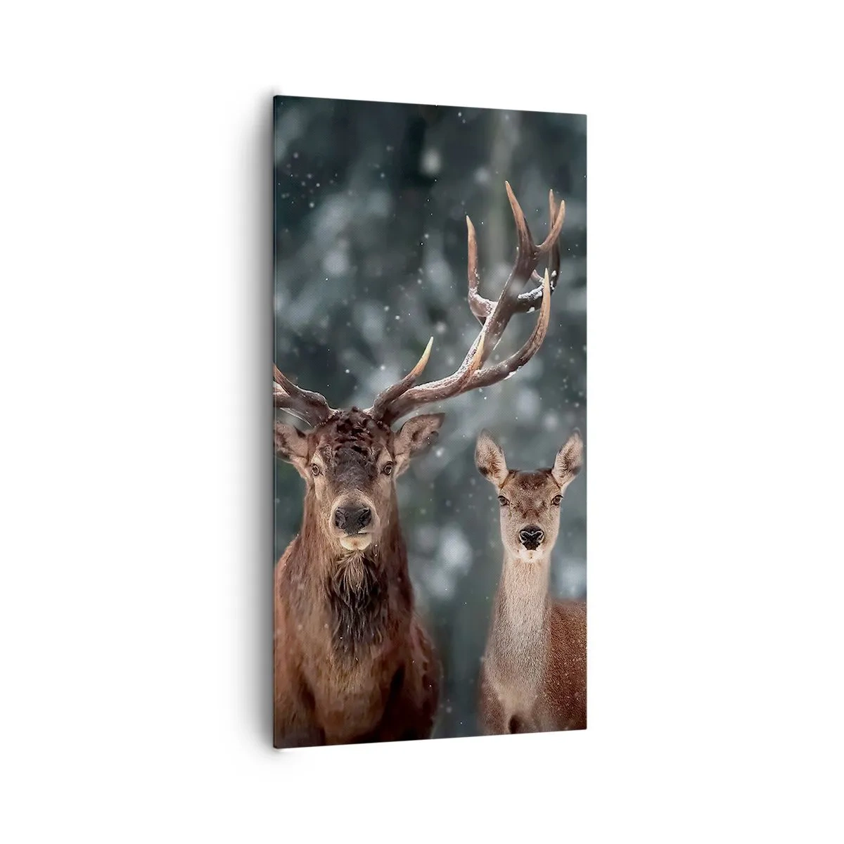 Lærredstryk - Billede på lærred - Skovens herre og hans kone - 65x120 cm