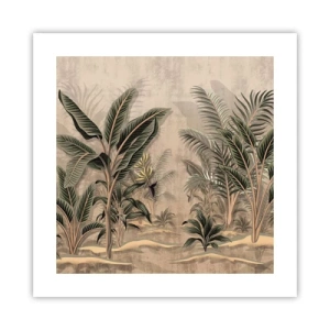 Plakat - Gravering i kolonistil - 40x40 cm