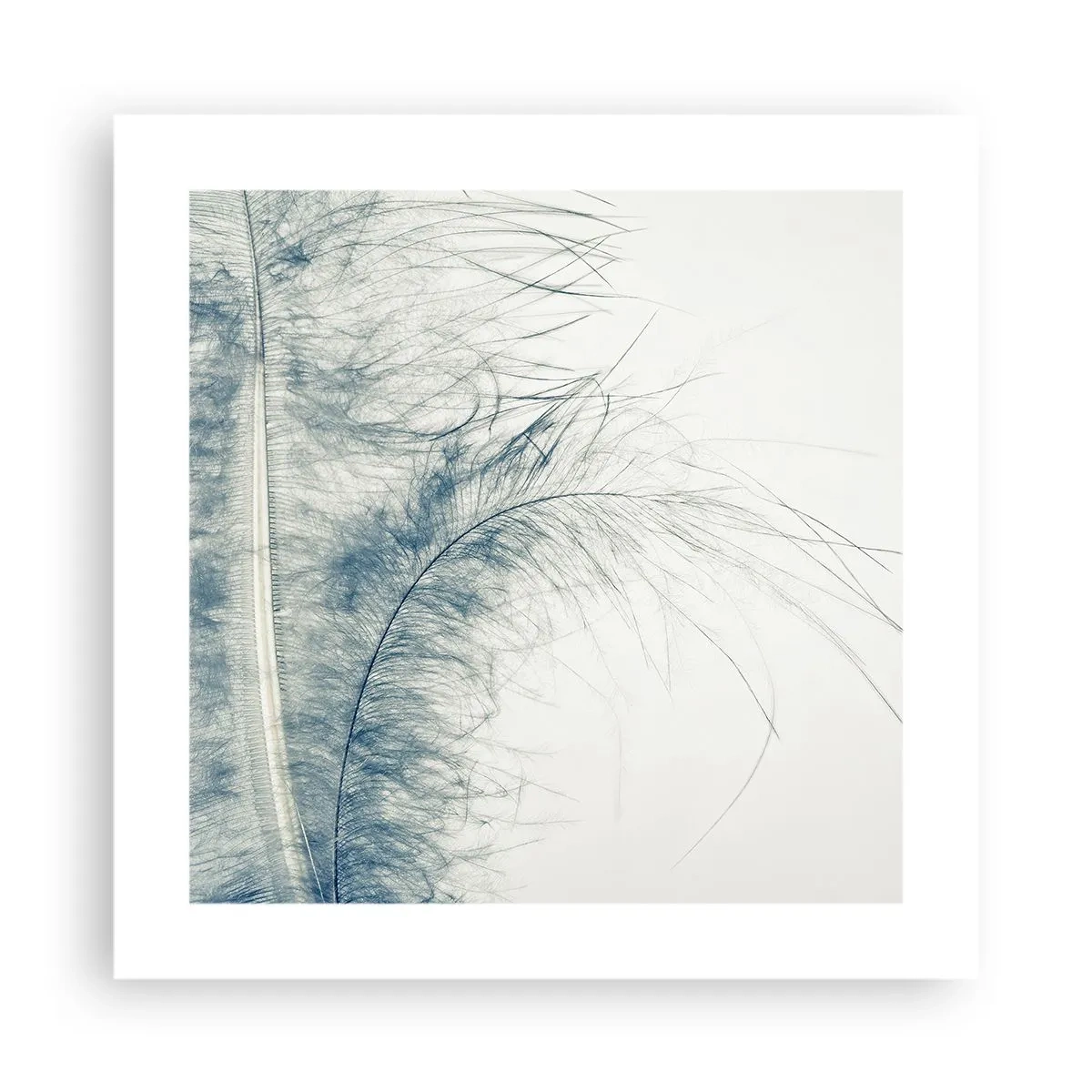 Plakat - Naturens hvisken - 40x40 cm