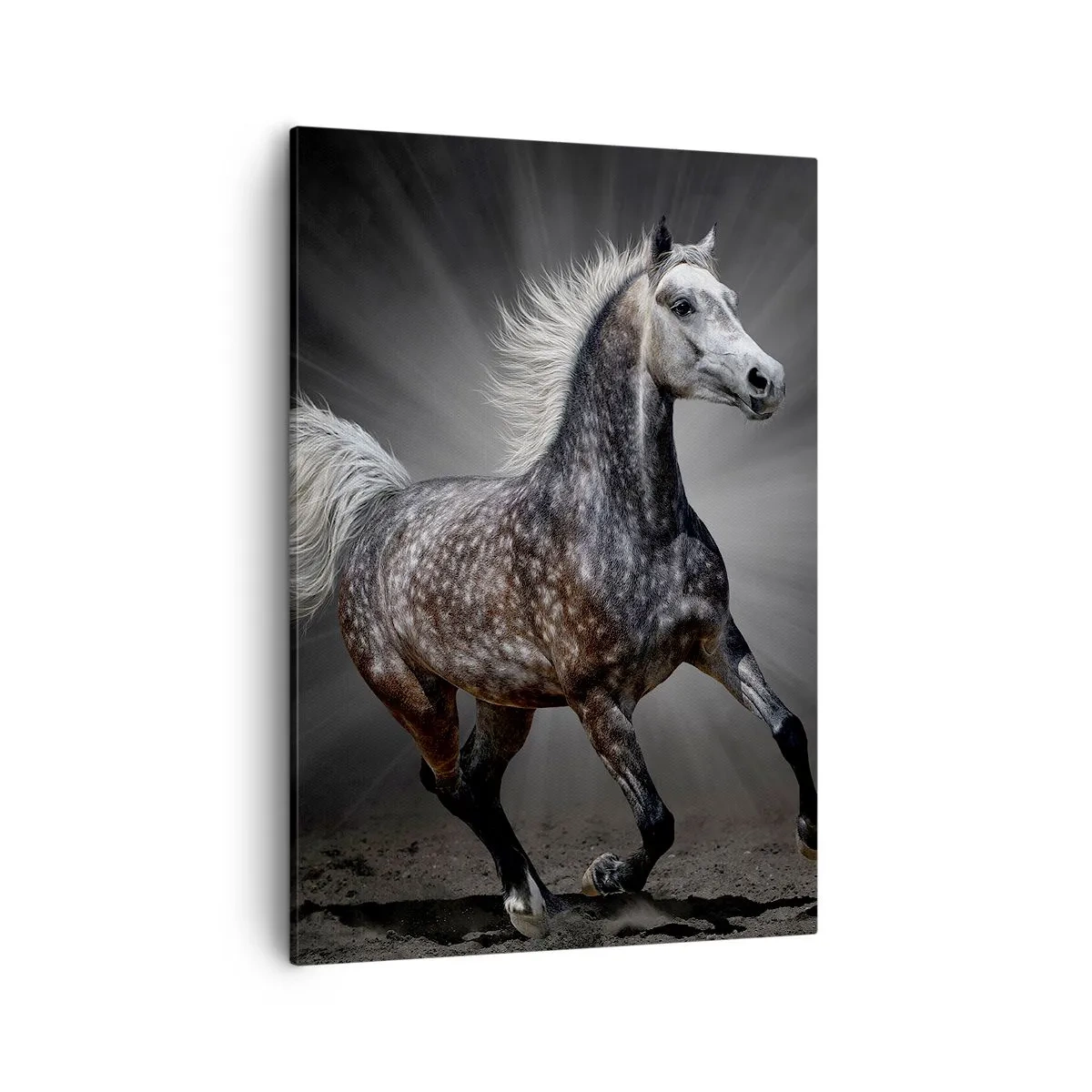 Lærredstryk - Billede på lærred - Gråt er smukt - 50x70 cm