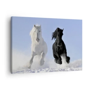 Lærredstryk - Billede på lærred - En hvid og en sort hest galoperer gennem sneen - 70x50cm - Sort og hvid galop - Moderne vægdekoration til stue og soveværelse ARTTOR