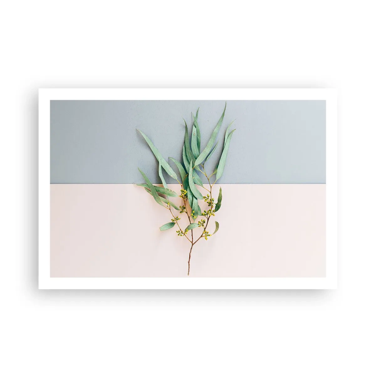 Plakat - Pastelfarvernes subtilitet - 91x61 cm