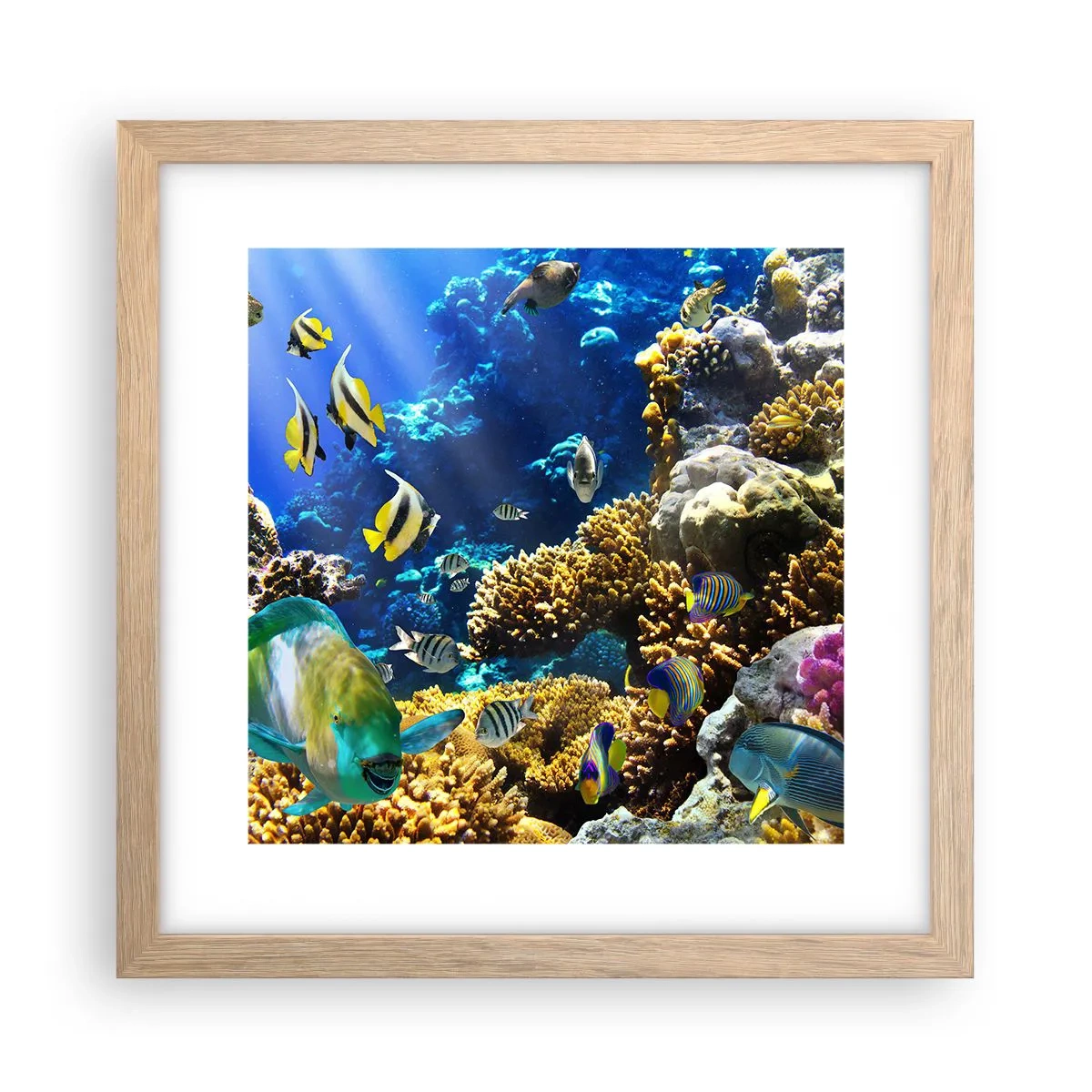 Plakat i ramme af lyst egetræ - Tung trafik på feriestien - 30x30 cm