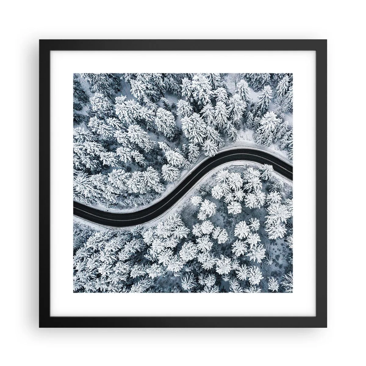Plakat i sort ramme - Gennem en vinterskov - 40x40 cm