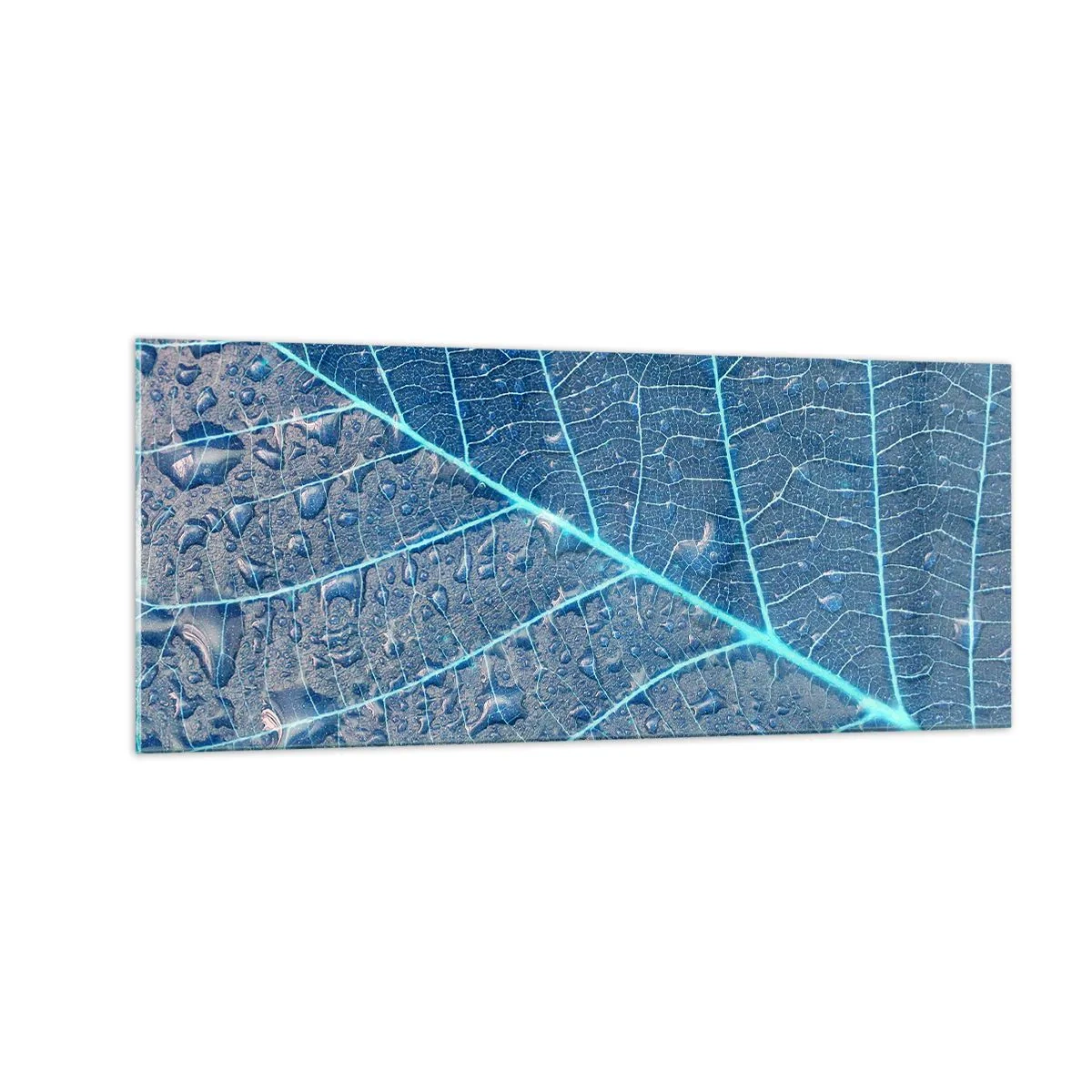 Billede på glas - Livet i det blå - 100x40 cm