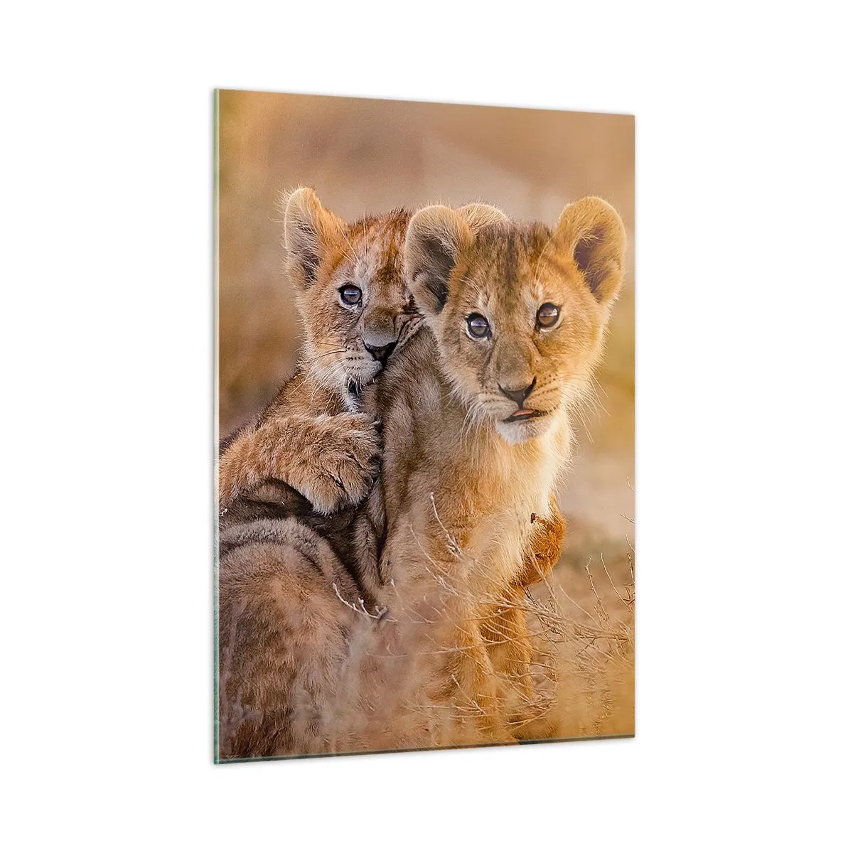 Billede på glas - Forstyr ikke! Vi har det sjovt - 50x70 cm