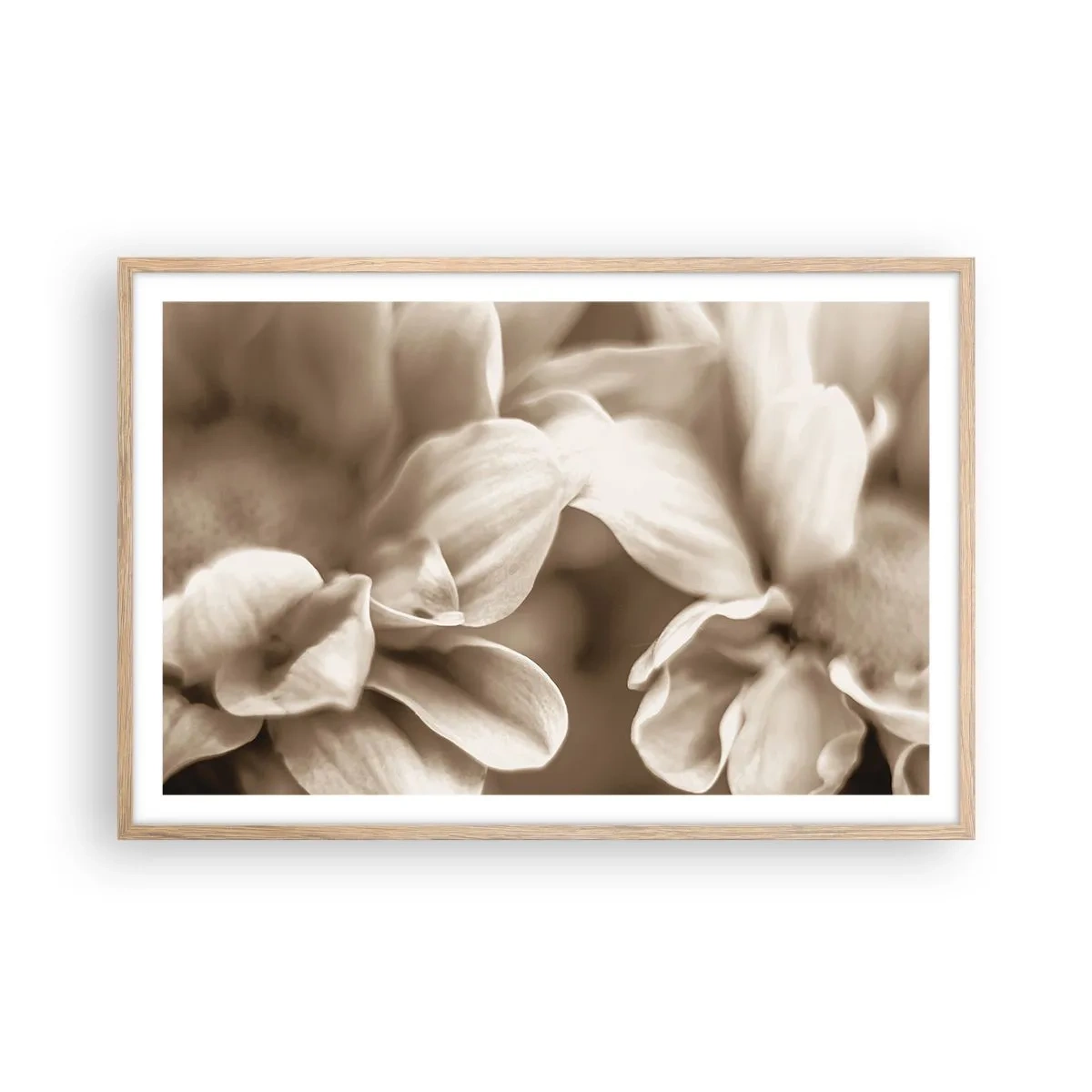 Plakat i ramme af lyst egetræ - Blid som et smil - 91x61 cm