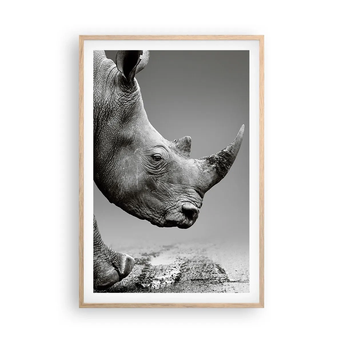 Plakat i ramme af lyst egetræ - En ustoppeli - 61x91 cm