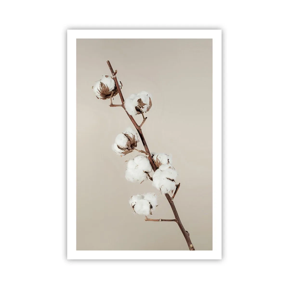 Plakat - Ved kilden til blødhed - 61x91 cm