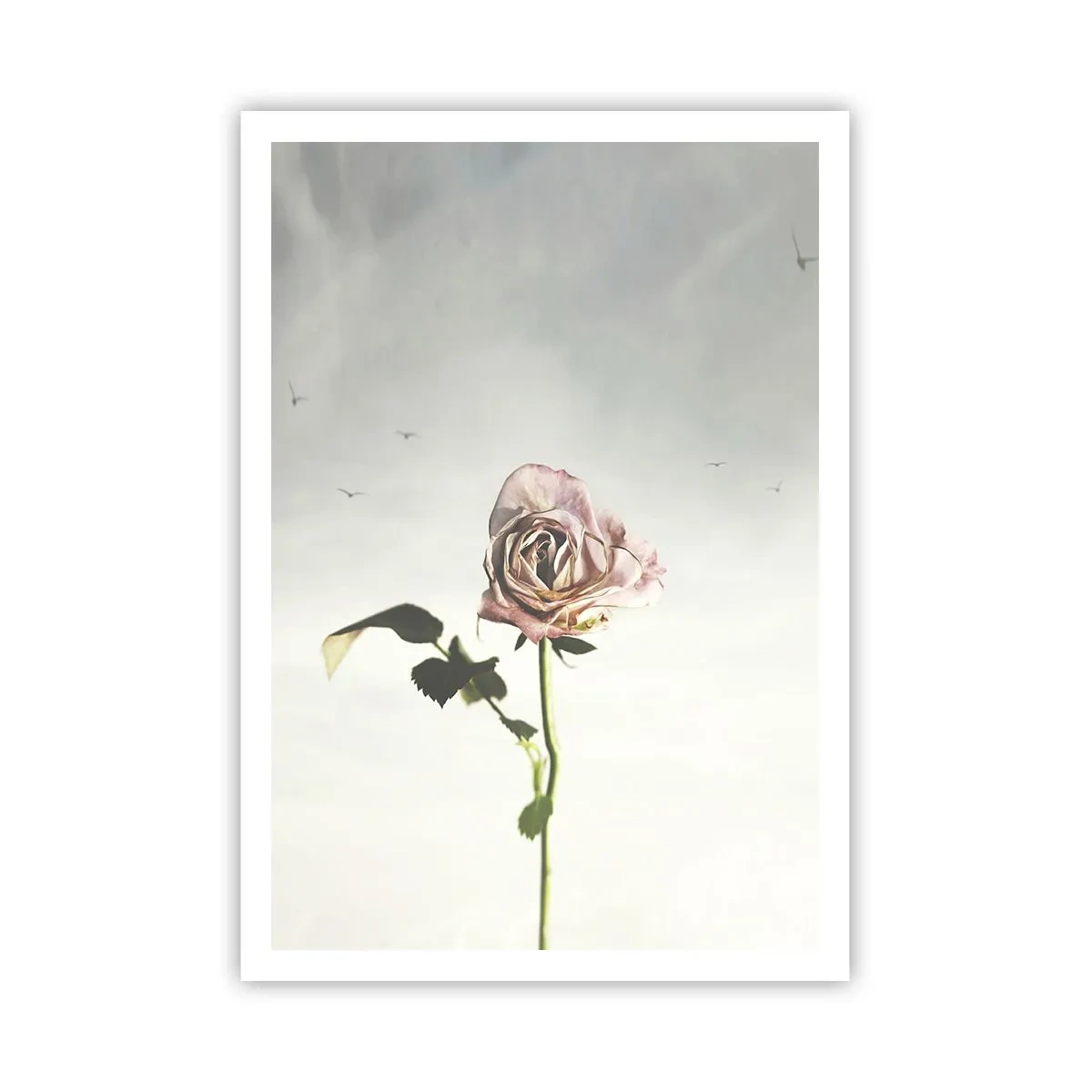 Plakat - Velkomst til foråret - 70x100 cm
