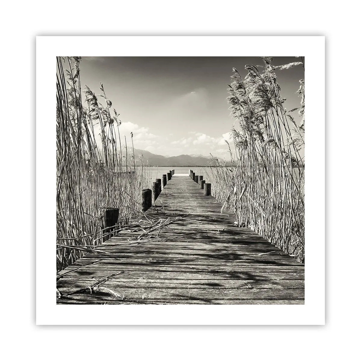 Plakat - I græssernes fred - 50x50 cm