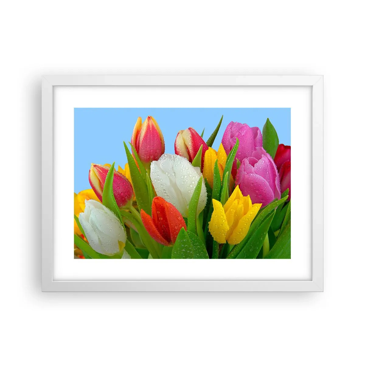 Plakat i hvid ramme - En blomstret regnbue i dugdråber - 40x30 cm