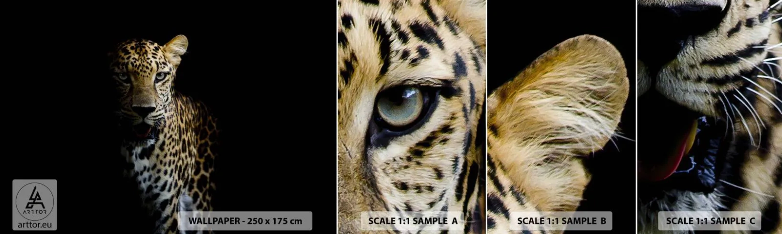 Prøve Fototapet Selvklæbende Deluxe Sticker - Mørk skønhed - Dyr, leopard, Vild kat - 100x30 cm