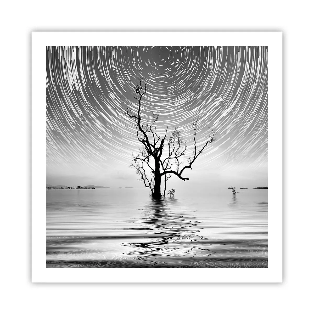 Plakat - En natursymfoni - 60x60 cm