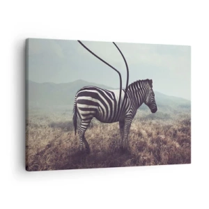 Lærredstryk - Billede på lærred - En surrealistisk zebra mod et græsklædt landskab - 70x50cm - OBS! Fejl - Moderne vægdekoration til stue og soveværelse ARTTOR