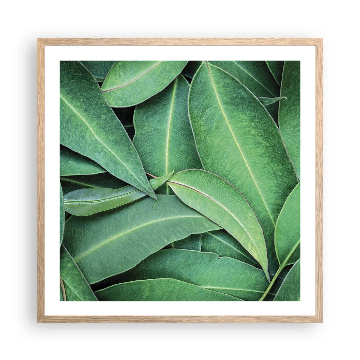 Plakat i ramme af lyst egetræ - Saftig og frisk - 60x60 cm