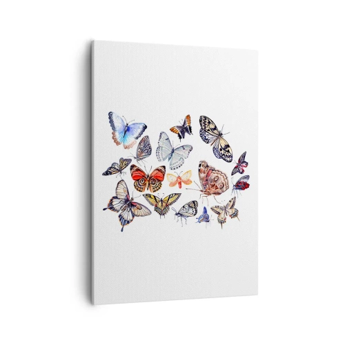 Lærredstryk - Billede på lærred - Blonder, farverig sværm - 50x70 cm