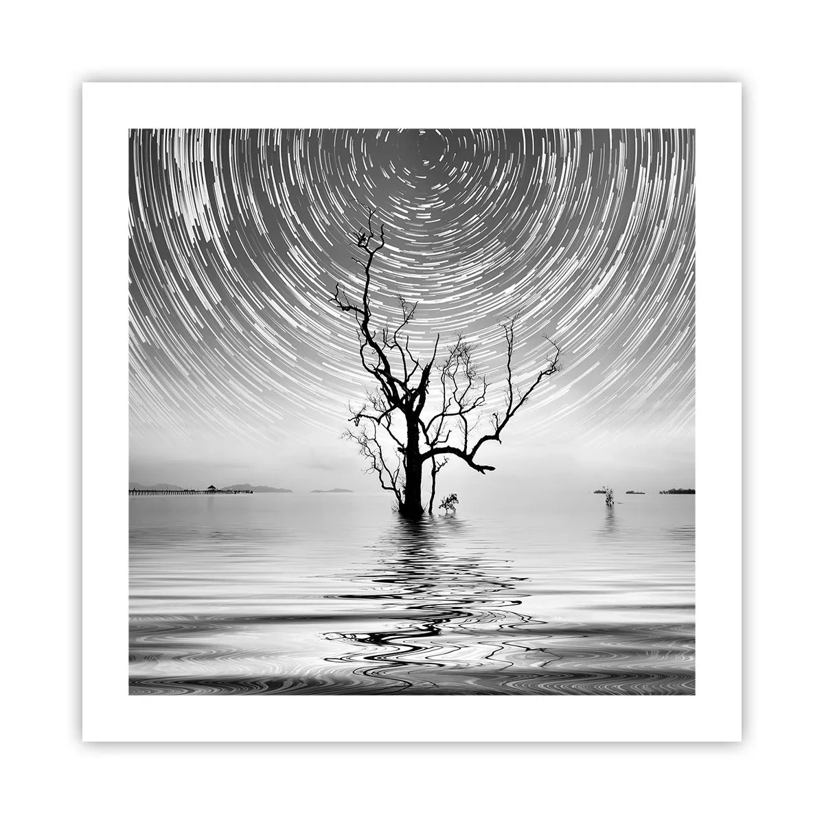 Plakat - En natursymfoni - 50x50 cm