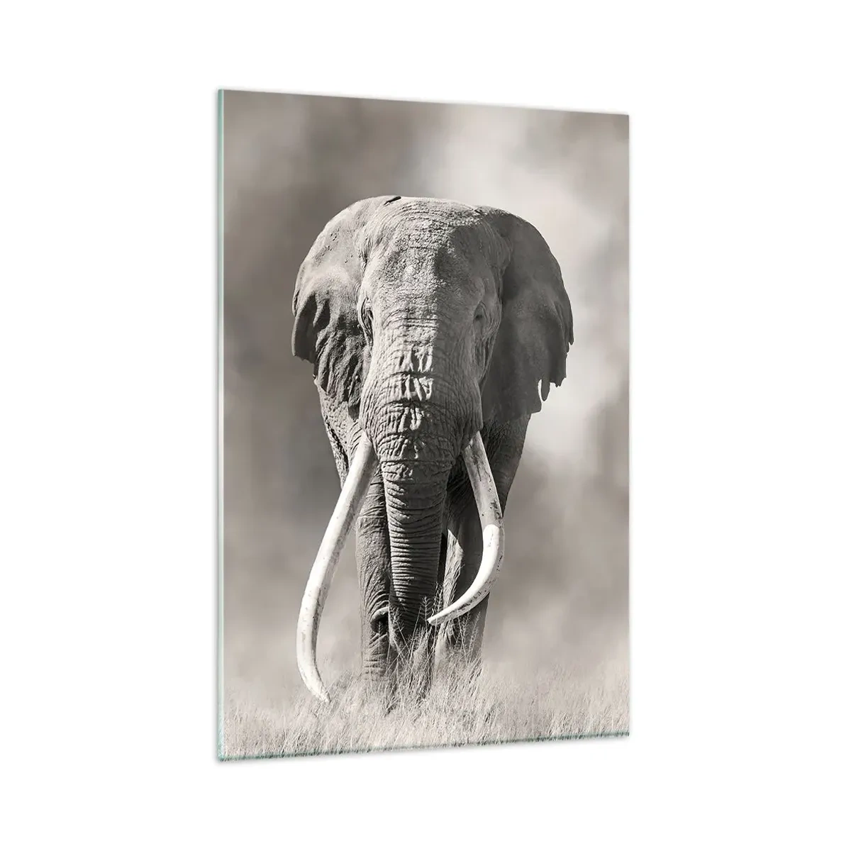 Billede på glas - Afrikansk patriark - 80x120 cm