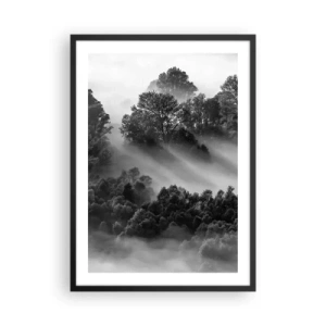 Plakat i sort ramme - Tåget skov i sorte og hvide nuancer - 50x70cm - At vågne fra søvnen - Moderne vægdekoration til stue og soveværelse ARTTOR