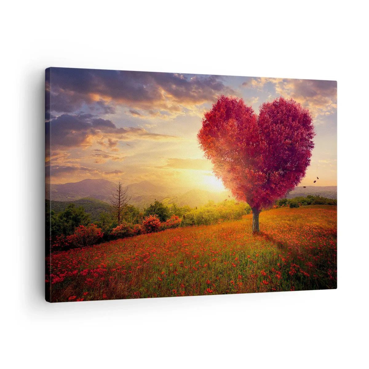 Lærredstryk - Billede på lærred - Hjerteformet træ ved solnedgang - 70x50cm - Det griber om hjertet - Moderne vægdekoration til stue og soveværelse ARTTOR