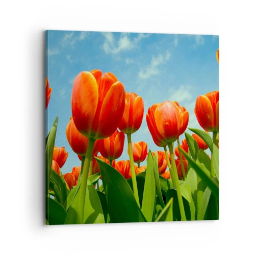 Lærredstryk - Billede på lærred - Bortset fra den blå himmel behøver de intet i livet - 70x70 cm