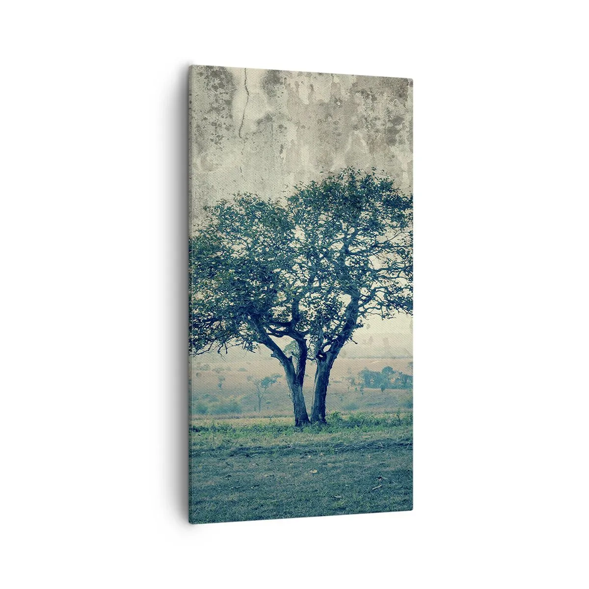 Lærredstryk - Billede på lærred - Et æbletræ på en blå membran? - 55x100 cm