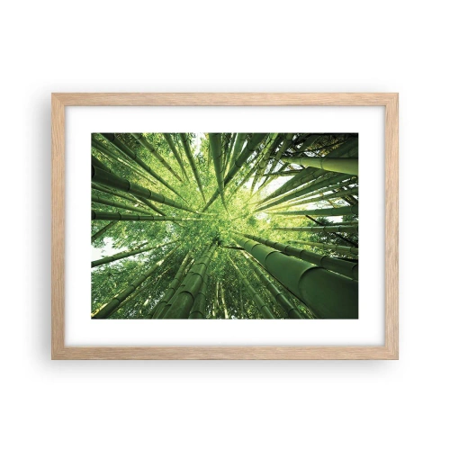 Plakat i ramme af lyst egetræ - I en bambuslund - 40x30 cm