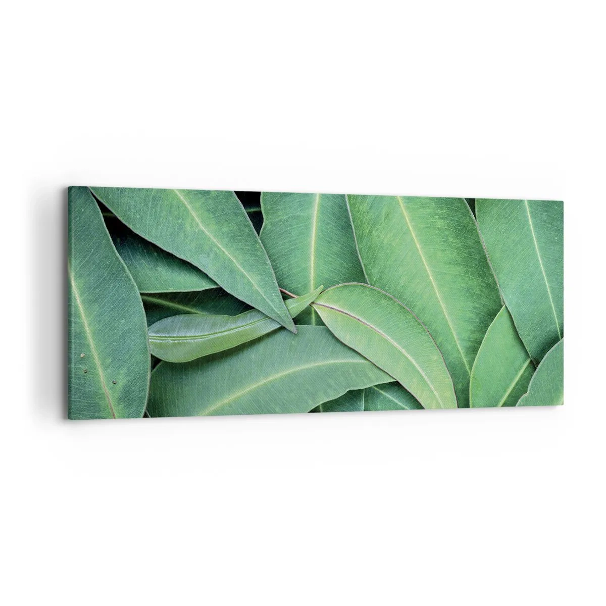 Lærredstryk - Billede på lærred - Saftig og frisk - 120x50 cm