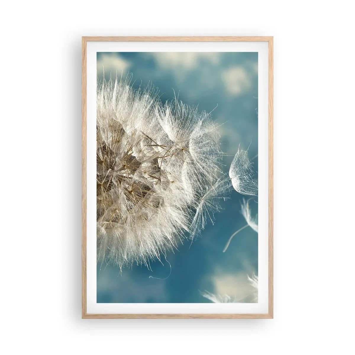 Plakat i ramme af lyst egetræ - En engels åndedræt - 61x91 cm
