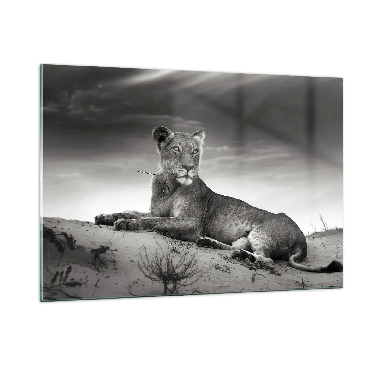 Billede på glas - Resten af ørkendronningen - 120x80 cm