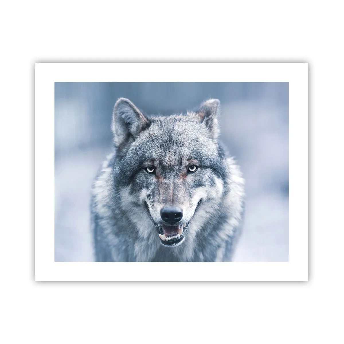 Plakat - Vil du tage udfordringen op? - 50x40 cm