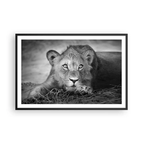 Plakat i sort ramme - Kongelig hvalp - 91x61 cm