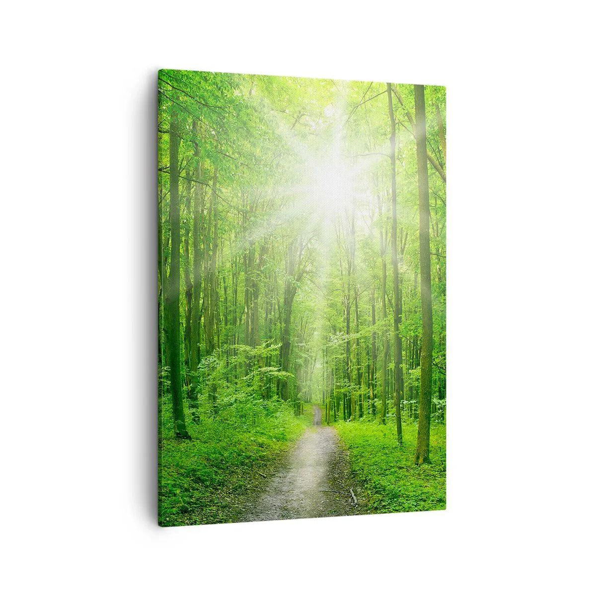 Lærredstryk - Billede på lærred - Grøn katedral - 50x70 cm