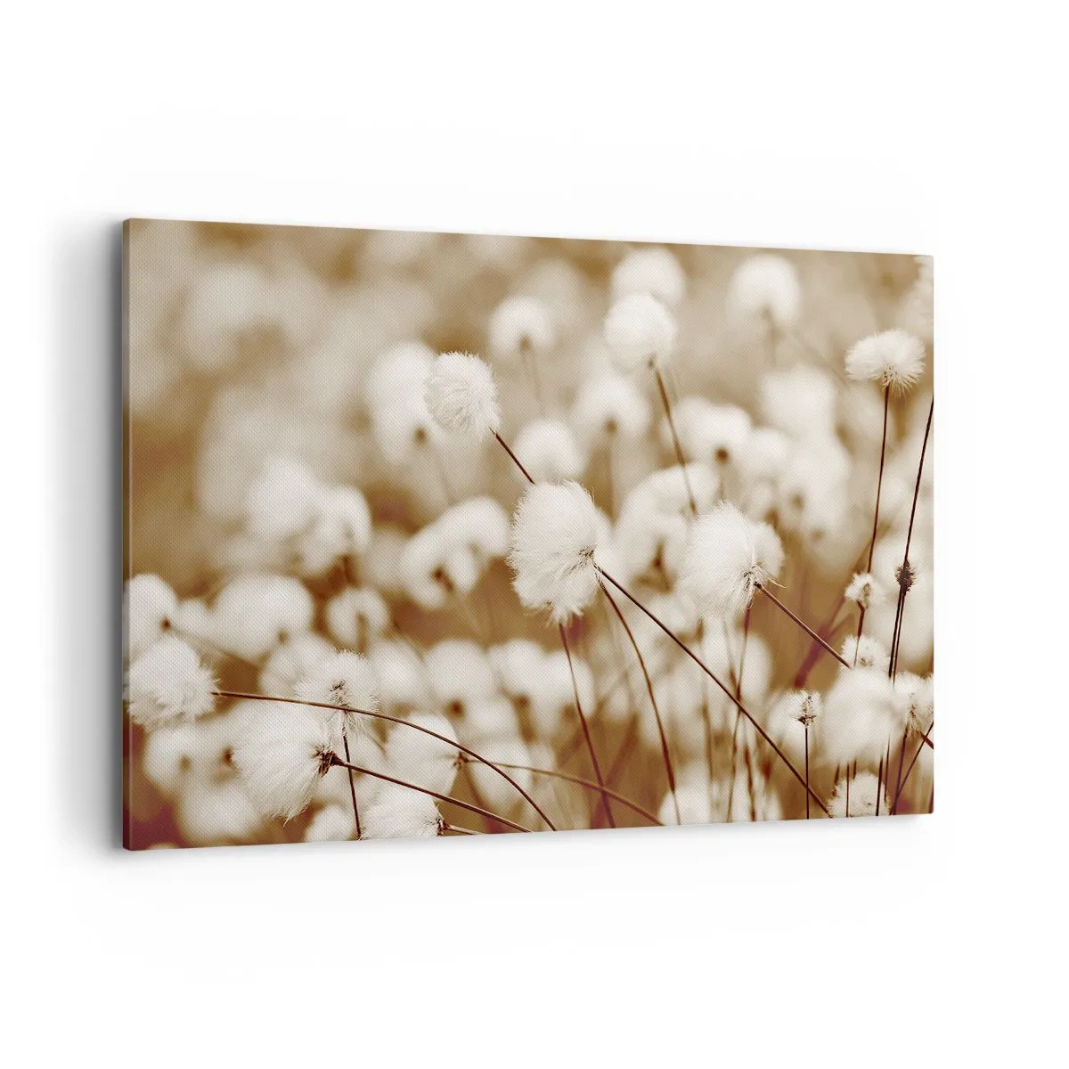 Lærredstryk - Billede på lærred - Fyldig mark - 120x80 cm