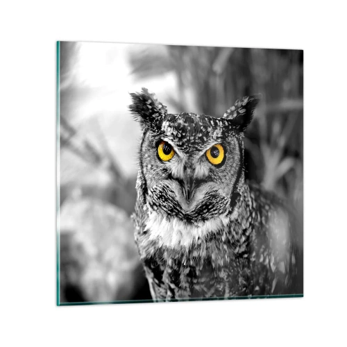 Billede på glas - Intet kan skjules - 60x60 cm