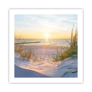 Plakat - Havet brummer, fuglene synger, en vild strand midt i græsset.... - 50x50 cm